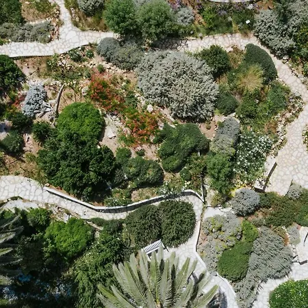 Nissi Resort 4*